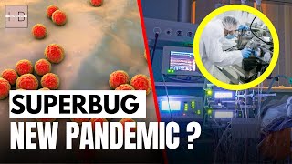 Global Superbug Crisis 40 Million Deaths by 2050 AMR Explained [upl. by Suu]