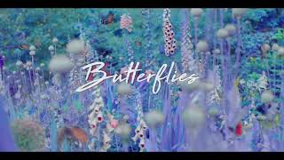 Butterfly Pt 2  Queen Naija  가사해석한글번역자막 [upl. by Annehs609]