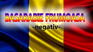 NEGATIV  BASARABIE FRUMOASA cover [upl. by Warner]