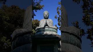 🍁🍃3 ShakaNyoraiBronzeStatue TENNOUJITemple YANAKA 2Min Walk NIPPORIStation Tokyo [upl. by Pearse]