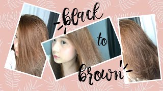 DIY Hair Dye  No Bleach  Philippines  PixiePeach ♥ [upl. by Teressa95]