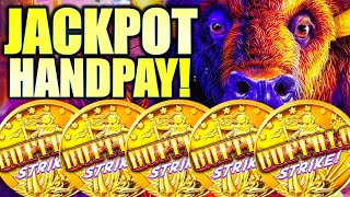 ★JACKPOT HANDPAY★ 5COIN TRIGGER 100 FREE GAMES BUFFALO STRIKE Slot Machine ARISTOCRAT GAMING [upl. by Woolcott142]