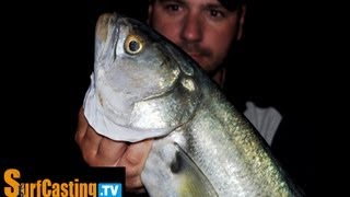 PESCA PESCE SERRA 23  PASSIONE SURFCASTING 2012 [upl. by Savanna]