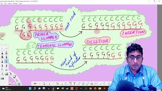 043 Mutations and Repair Replication errors Base analog Intercalating agents Tautomers Slippage [upl. by Nrubyar]