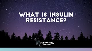 What Is Insulin Resistance [upl. by Reinaldos17]