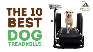 Best Dog Treadmills [upl. by Rosanna382]