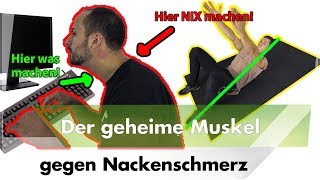 Nackenschmerzen  Aktiviere DIESEN Muskel [upl. by Derry]