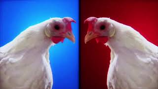 Techno Chicken Song Remix 1 Hour [upl. by Notnilk]