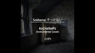 Sokkenai そっけない  RADWIMPS Instrumental Cover [upl. by Nidnarb]