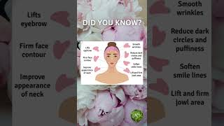 Benefits of Gua Sha Facial Massage [upl. by Felise]