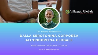 Dalla serotonina corporea allendorfina globale 04  09 Ottobre 2024 [upl. by Zilef]