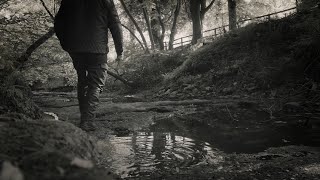 Woodland walking [upl. by Erdna]