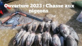 CHASSE 66  OUVERTURE de la saison de chasse 20232024 chasse aux pigeons [upl. by Eemla]