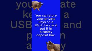 What is Bitcoin Cold Storage Explained by Squirrels [upl. by Aissenav410]