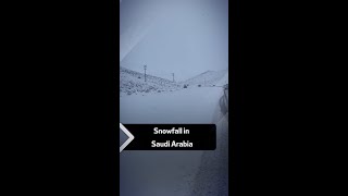 Snowfall in Saudi Arabia [upl. by Budd]