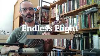 Endless Flight  Gustavo Santaolalla Ronroco Cover [upl. by Nyladgam]