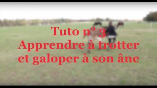 TUTO  Comment apprendre à trotter et galoper à son âne [upl. by Mailliwnhoj702]