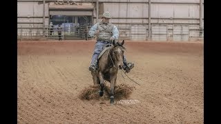 Tim Anderson Reining Horse Basic Training [upl. by Carbone]