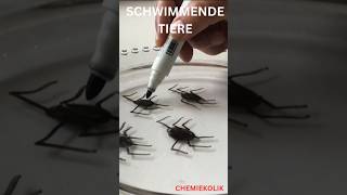 Schwimmende Spinnechemie AGExperimentschule [upl. by Heddi649]