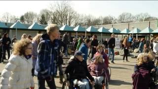 Flashmob van leerlingen Mythylschool [upl. by Lucia]