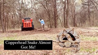 Close Call Removing Underbrush Reveals Venomous Copperhead  Kubota SVL972 and FAE Mulching Head [upl. by Eninotna]