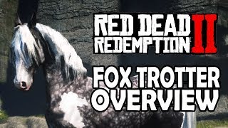 Missouri Fox Trotter Overview  Red Dead Redemption 2 Horses [upl. by Hansiain769]