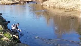 River Deveron Trout Fishing Avochie Estate [upl. by Ardnac]