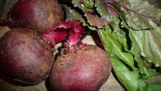 How To Juice Beets Recipe [upl. by Ahtekal785]