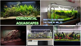 Horizontal Aquascapes  WHATS GOOD About the Tank w Mr Po  vVIII [upl. by Ahsiet]