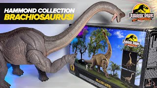 NEW BRACHIOSAURUS Hammond Collection Brachiosaurus Review [upl. by Tiraj653]