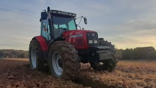 Orka Zimowa 2022Massey Ferguson 6290Unia IBIS [upl. by Harim622]