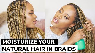 HOW TO MOISTURIZE NATURAL HAIR IN BRAIDS amp TWISTS  Easy DIY Method No Frizz [upl. by Eillim]