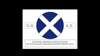 Gundog Breeds Association of Scotland Championship Show 2024 [upl. by Riada]