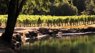 Napa Valley Rocks  FULL PRESENTATION 2026 [upl. by Irish]