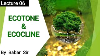 Ecotone amp Ecocline  Environment amp Ecology  By Babar Sir [upl. by Anelegna]