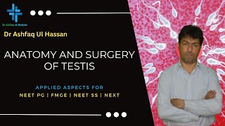 Anatomy and Surgery of Testis  Applied aspects for NEET Pg  FMGE MBBS USMLE MRCS INICET Exams [upl. by Refanej330]