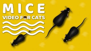 CAT GAMES  Mice Mouse Sounds Video for Cats  CAT amp DOG TV [upl. by Maurili451]