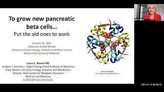 To Grow New Pancreatic Beta Cells Put the Old Ones to Work [upl. by Ynafets]