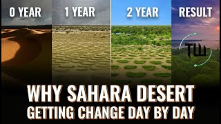 How Sahara Desert is Transforming  Trends in the World [upl. by Alver]