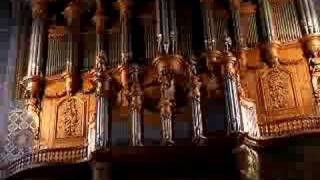 Bombardes of Albi Cathedral organ [upl. by Eddra]