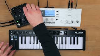 Walrus Audio Meraki Sound Demo with Waldorf Blofeld no talking [upl. by Meridith]