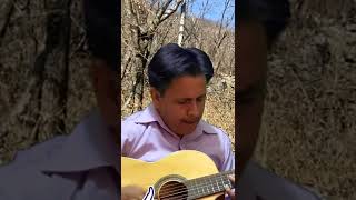 Mi Caballo Ensillado  YouTubeShort  Instrumental con Guitarras [upl. by Eniac818]