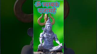 Extremely powerful  maha mrityunjay Mantra mahamrityunjayamantra shiva mantra shortsfeed [upl. by Urquhart590]