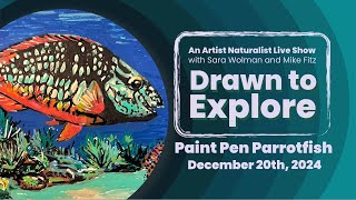 Paint Pen Parrotfish  Drawn to Explore [upl. by Nitsirk968]