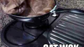 Cats in the Cradle or Kettle quotIn My Chow Meinquot Funny Parody Song [upl. by Crean]