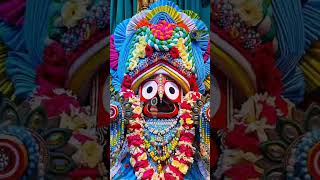 jagannath bhajana statush tame ta syama sundara 🙏🙏🙏🙏 [upl. by Nylirret]