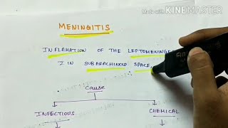 Meningitis  Pathology  Handwritten notes [upl. by Enyahs]