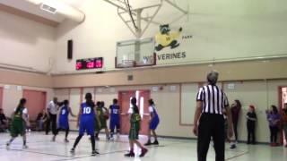 Brookvale vs Forest Park Girls Feb 8 2017 Jerseys Basketball [upl. by Garry]