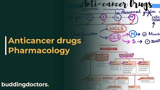 Anticancer drugs pharmacology  anticancer drugs [upl. by Alimak571]