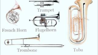 Instrument Families [upl. by Ardnuaet]